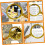 Handheld Reading Magnifying Glass Elderly Explore Magnifier Tool Portable Reading Magnifier 5