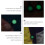10pcs Self-Luminous Zipper Pulls with Glow Rope for Camping Hiking Backpack 6