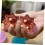 1 Stück Manueller Massageballroller Tragbares Massagegerät 5