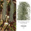 Micro-Landscape Decor Moss Dried Moss Plastic No Watering Required No Pruning Required 8