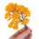Miniature Wire Model Trees for DIY Crafts, 15cm Small Micro-Simulation Landscape Trees 4