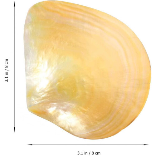 Shell sobremesa servindo prato pratos criativos servindo comida pequena e delicada forma de concha 1