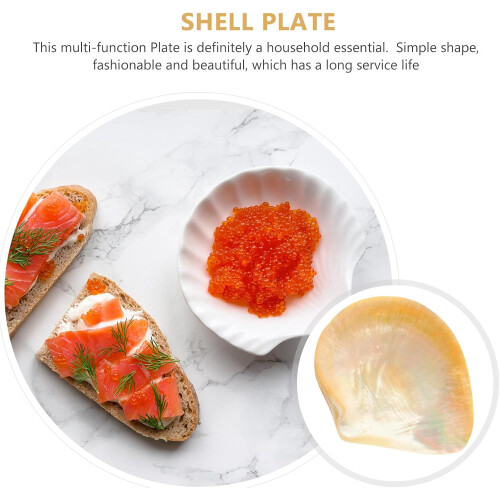 Shell sobremesa servindo prato pratos criativos servindo comida pequena e delicada forma de concha 2