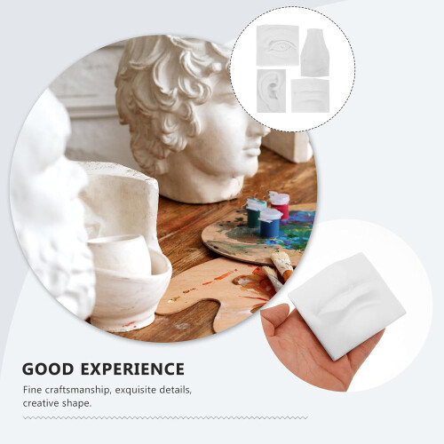 Gypsum Facial Features Sculpture Model Sketching Model Set for Students 2