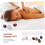 Crystal Stone Gemstone Energy Stones Assorted Color Relaxation Decorative Effects 2