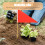 10pcs Red Lawn Marking Flags with Bamboo Poles, Triangular Yard Mark Flags for Construction 8