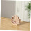 Wooden Seashell Display Case Small Multi-function Storage Box Decorative Shadow Box 6