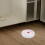 1 Roll U Shape Edge Banding Self Adhesive Edge Protector Soft TPE Material Stylish Visually Appealing 7