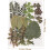 Real Dried Leaves 7 Patterns Natural Color Pressed Leaf Plants Specimen 2