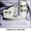 Ring Diamond Comparison Ruler for Cubic Zirconia Shape Selector Diamond Measuring Template 3