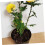 40 Stück Blumenstäbe, Pflanzenstützstäbe 4