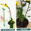 40 Stück Blumenstäbe, Pflanzenstützstäbe 7
