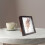 DIY Shadow Box Display Frame for Specimens and Dried Flowers, Made 6