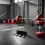 Single Barbell Wall Mount Holder with 3 Hooks for Squat Rack Vertical Barbell Storage Rack 5
