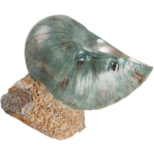 Muschelornament, Muschelpflanzgefäß aus Kunstharz, leicht zu reinigen, DIY-Bastelidee