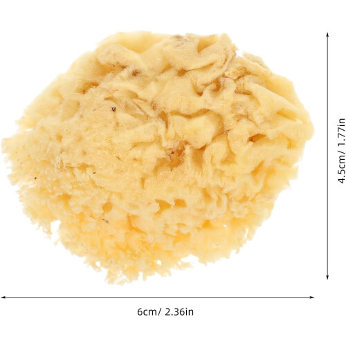 Esponja do mar natural 2.0-2.5 polegadas esponja de arte de absorção de água para ferramentas de pintura 1