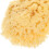 Esponja do mar natural 2.0-2.5 polegadas esponja de arte de absorção de água para ferramentas de pintura 3