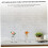 Acrílico Rose Stem Stand Lua Forma Base Rectangular Excelente Decoração 3