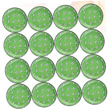16 platos de papel con diseño de fútbol para fiestas temáticas deportivas.