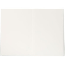 Xuan Paper Calligraphy Practice Sheets 100 Pack 34x46cm Traditional Chinese Rice Paper