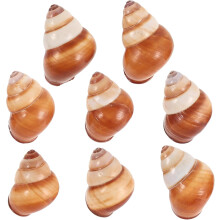 8 wiederverwendbare Schneckenhäuser für Foodstyling in eleganter Muschelform – dekorativ und stilvoll.