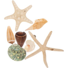 7 Stück Muschelaufkleber, Kühlschrankmagnet, verschiedene Designs, Muschelmaterial, glatte, abgerundete Oberfläche
