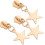 6Pcs Metal Five-Pointed Star Zipper Pull Tabs Light Gold DIY Zipper Replacement 1