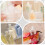 12 wiederbefüllbare Lotionbeutel, Reise-Shampoo-Halter, platzsparende Lotionbeutel 7