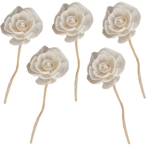 Lot de 5 bâtonnets diffuseurs en rotin, recharges pour diffuseur de parfum, bâtonnets de fleurs naturels