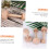 2er-Pack doppelseitige Eierkuchen-Backform für DIY-Backen 7