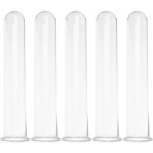 5 Stück Glas-Reagenzglasvasen, Hydrokultur-Pflanzwasserröhrchen für Blumen, geeignet