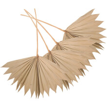 éventails en feuilles de palmier séchées, décoration de mariage ou de fête, beige naturel, léger, chic et bohème, décoration murale