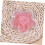 3pcs Pack Breastcare Pack Hot Cold Therapy Flower Shape para recuperação e amamentação 3
