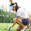 Draagbare golfscoreteller met hoedclip, gemaakt van stevig ABS-plastic. 7