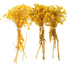 3 bouquets de fleurs séchées jaunes pour la décoration, fleurs synthétiques à l'aspect naturel