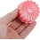 8pcs Dessert Baking Mold Biscuit Mold Flower Shaped Compact Design Pp Reusable Baking Simple Kitchen 3