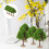 6Pcs Miniature Road Trees for Model Trains and Sand Table Scenery, 4.5Cm Simulation Tree Ornaments 3