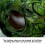Outdoor Bird House for Parrots with Winter Insulation 4