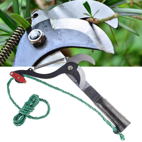 Sécateur pour jardin, coupe-branches, 1 paire 1