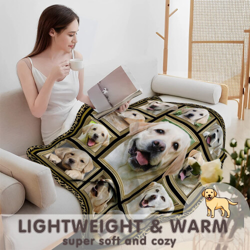 Manta Labrador Retriever 40x50 polegadas 1