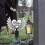 Decorațiune de cimitir memorială din acrilic negru, 31 cm 3