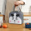 Insulated Lunch Bag Tote with Handle 1 Pack 4