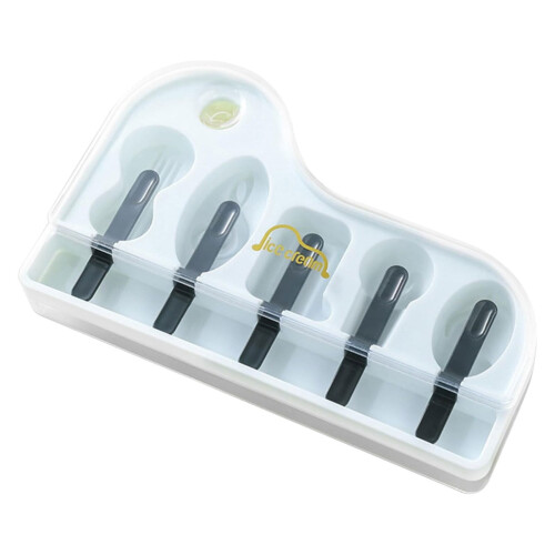 Poaug Piano-Shaped Ice Mold with Lid, Reusable PP