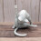 Funny Cat Statue for Desk or Shelf Decor 1