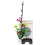 Decoração artificial de mini flor japonesa para sashimi (1 peça) 1