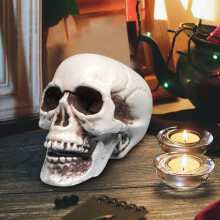 Tête de mort en plastique Donemore – Décoration d'Halloween réaliste,