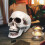 Donemore plasthodeskalle – realistisk Halloween-dekor, 1