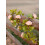 Champagne Rose Vine String Lights – 2m, 17 Pink Flowers, 3