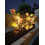 Champagne Rose Vine String Lights – 2m, 17 Pink Flowers, 5