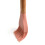 Grill Brush with Roundwood Handle 2 pcs 4